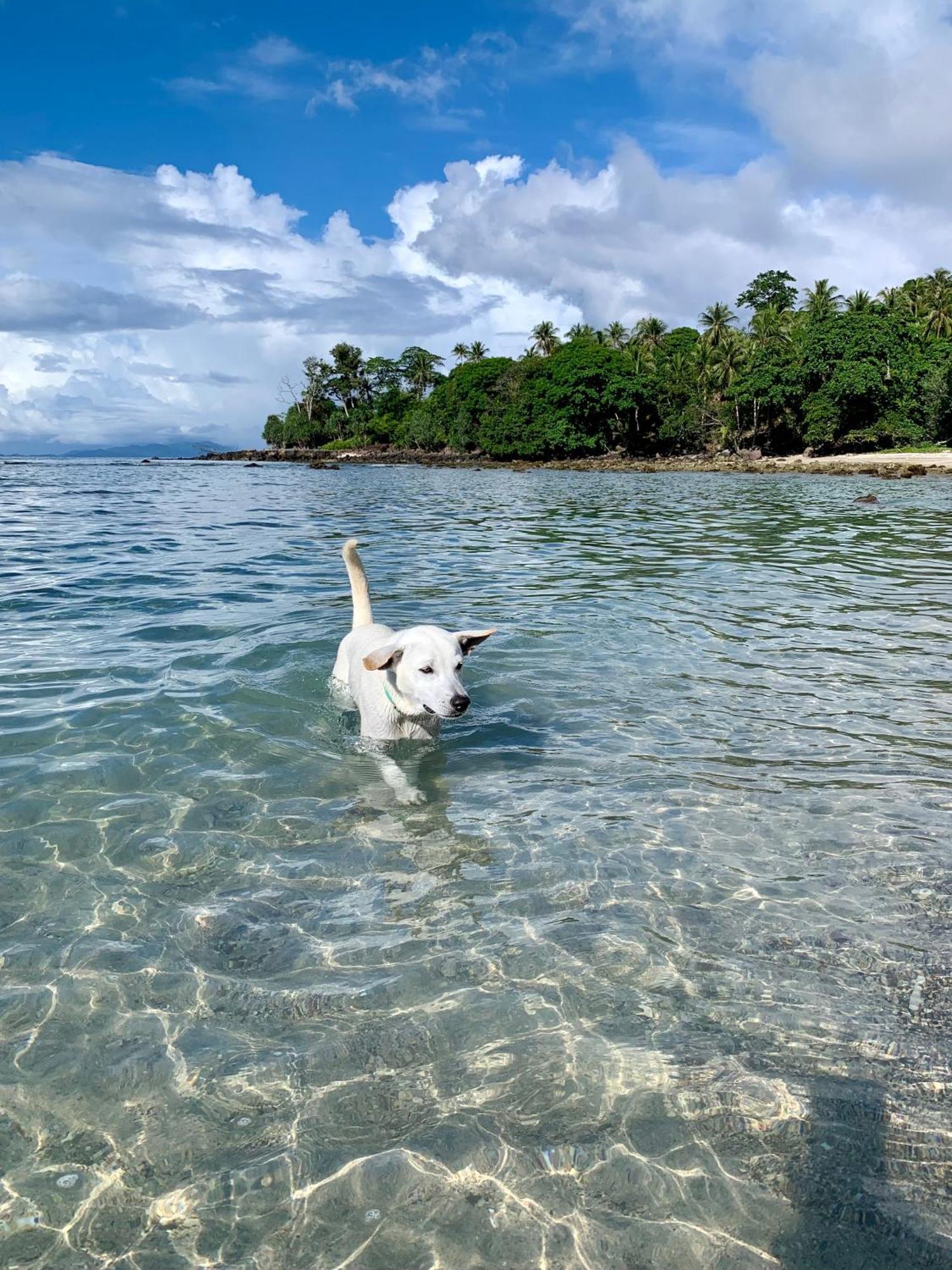 Sunset Beach Resort Weh Sabang  Zewnętrze zdjęcie